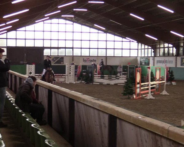 Springturnier Bielefeld-Jöllenbeck 2021