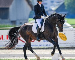 dressage horse Beirholms Firefox (Westphalian, 2009, from Fidertanz)