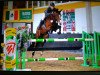 jumper C-Conabis HC Z (Zangersheide riding horse, 2012, from Canabis Z)