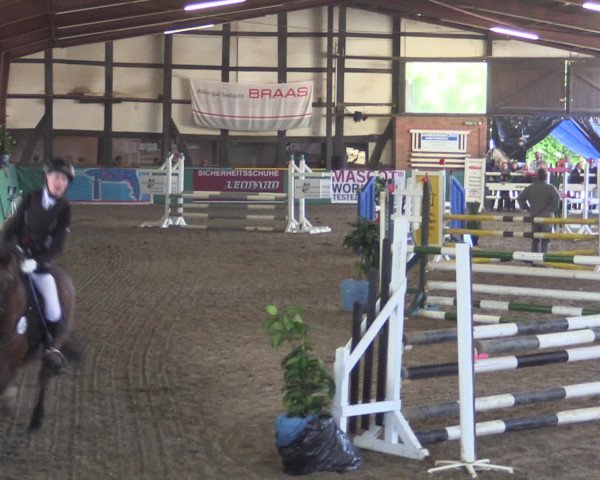 Reitturnier Ovenstädt 2015
