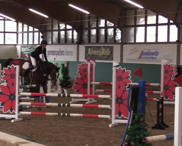 Springturnier Bielefeld-Jöllenbeck 2021