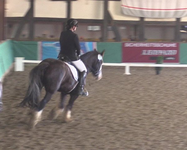 Reitturnier Ovenstädt 2015