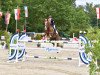 jumper Pretiosa (German Riding Pony, 2007, from Playback)