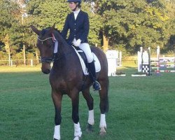 dressage horse Collin 116 (Westphalian, 2009, from Chequille 2)