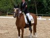 dressage horse Orange Foxy Fire (Dutch Pony, 2005, from Orchard d'Avranches)