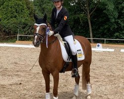 Dressurpferd Orange Foxy Fire (Niederländisches Pony, 2005, von Orchard d'Avranches)