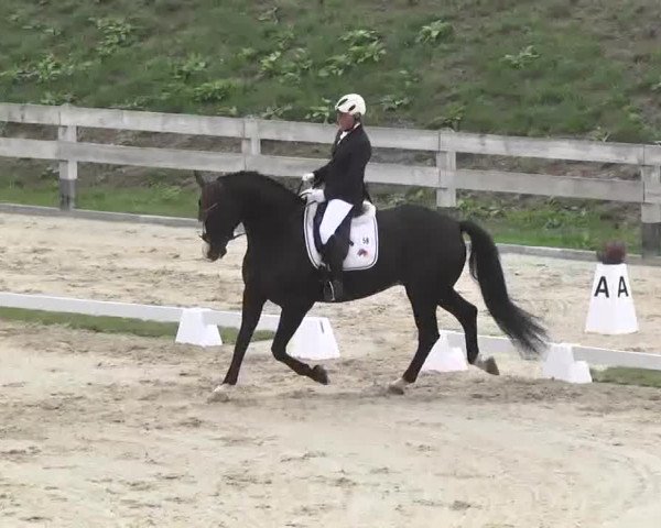 Reitturnier Linkenheim-Hochstetten 2015