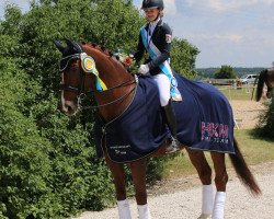 dressage horse Don Flori - R (Bavarian, 2011, from Don Diamond)