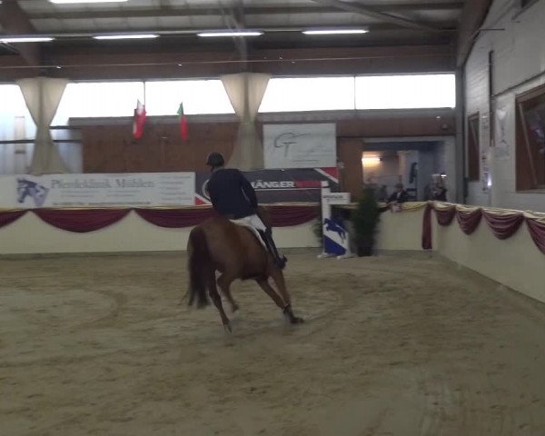 CSI Damme 2015