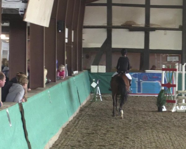 Reitturnier Ovenstädt 2015