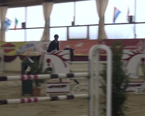 CSI Damme 2015