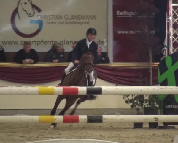 CSI Damme 2015