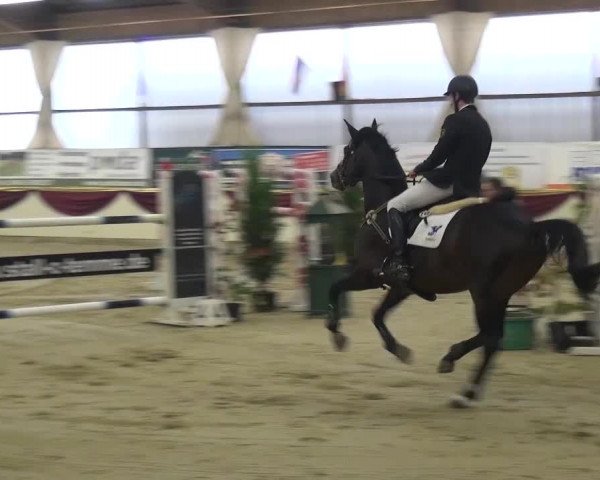 CSI Damme 2015
