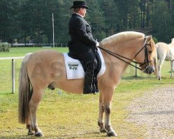 stallion Ismo Kry (Fjord Horse, 1997, from Furubäcks Inter)