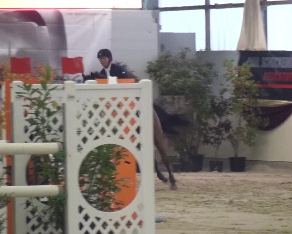CSI Damme 2015