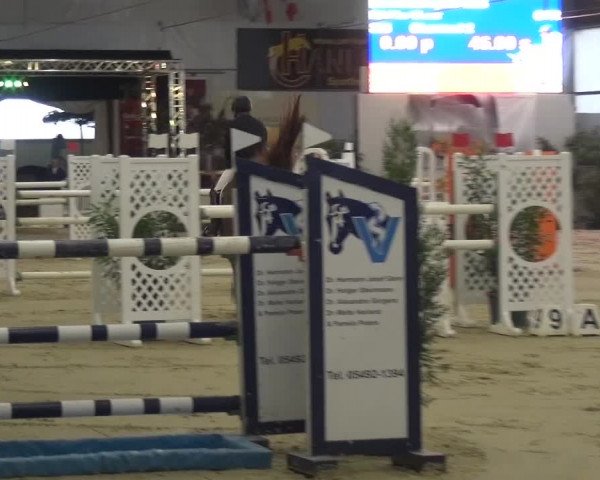 CSI Damme 2015