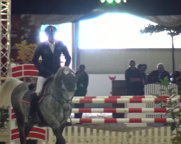 CSI Damme 2015