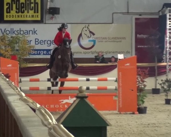 CSI Damme 2015