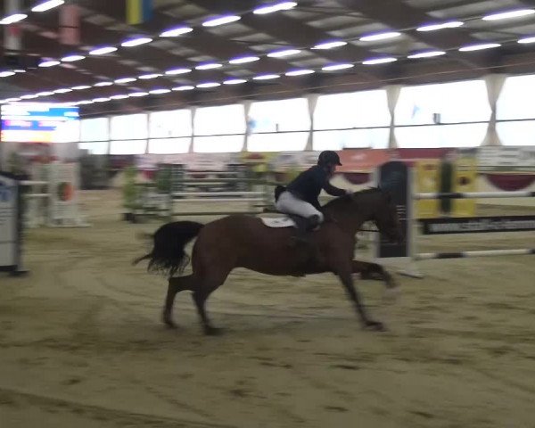 CSI Damme 2015