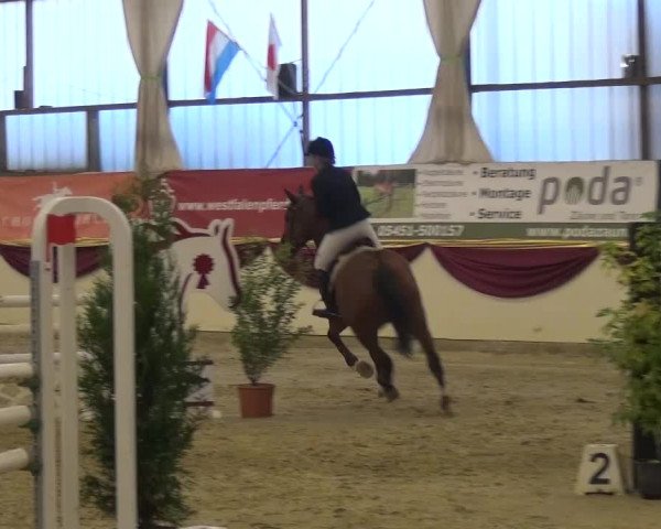 CSI Damme 2015