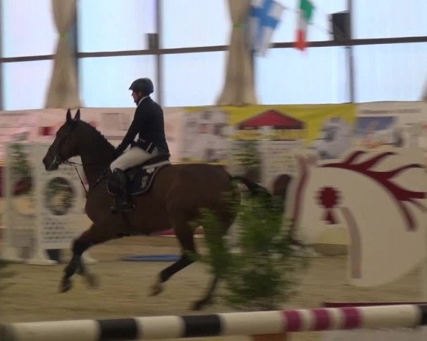CSI Damme 2015