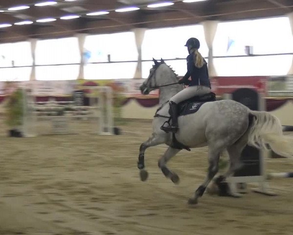 CSI Damme 2015