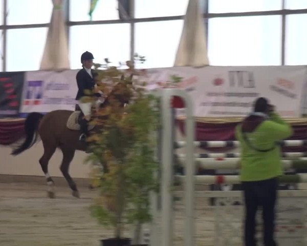 CSI Damme 2015