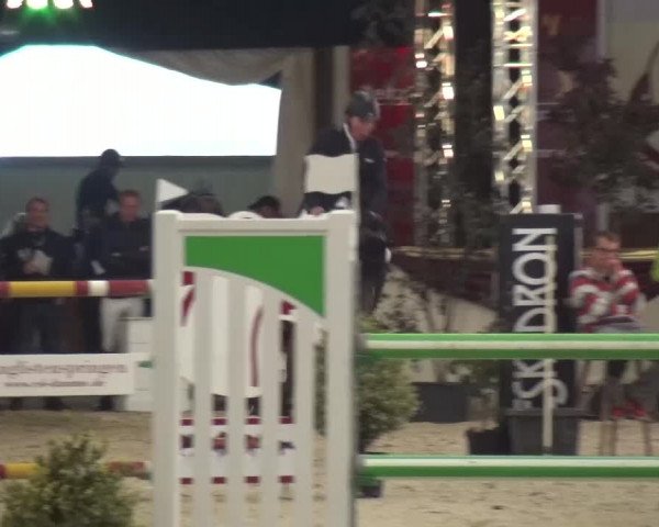 CSI Damme 2015