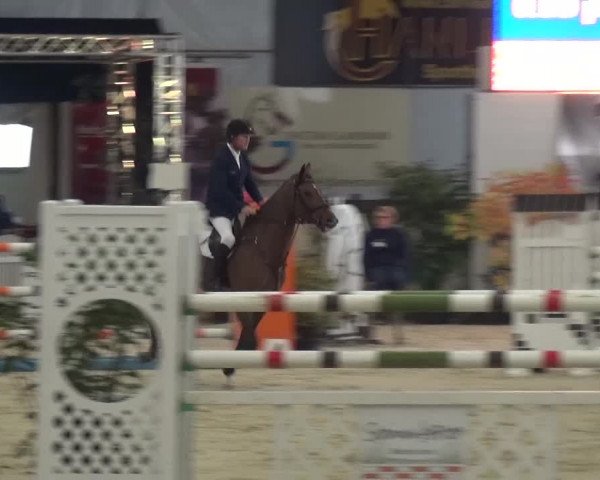 CSI Damme 2015