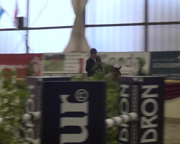 CSI Damme 2015