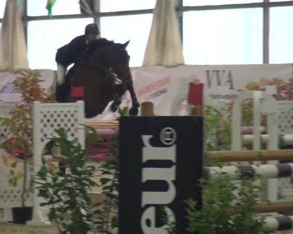 CSI Damme 2015