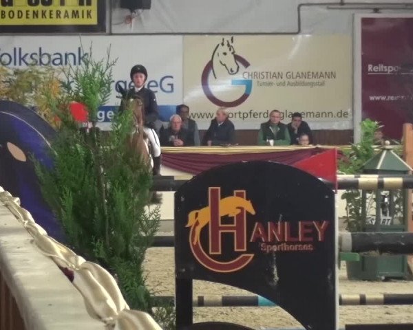 CSI Damme 2015