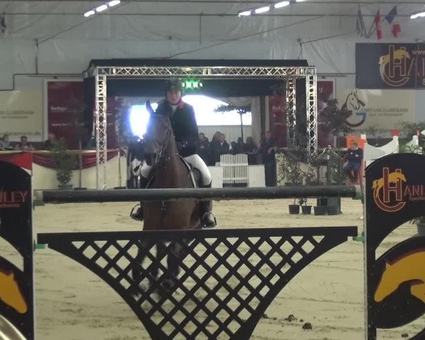 CSI Damme 2015