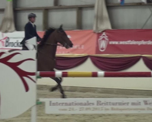 CSI Damme 2015