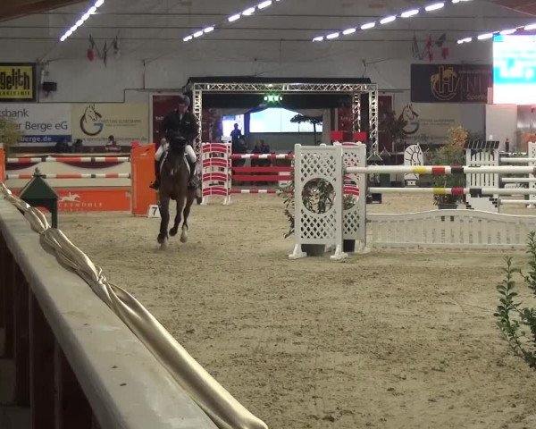 CSI Damme 2015