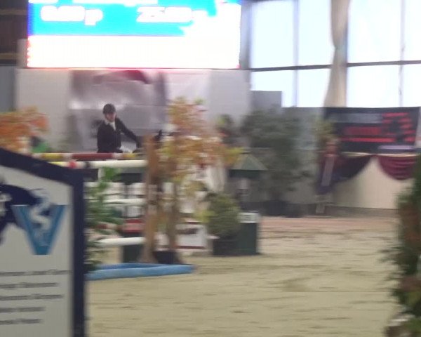 CSI Damme 2015