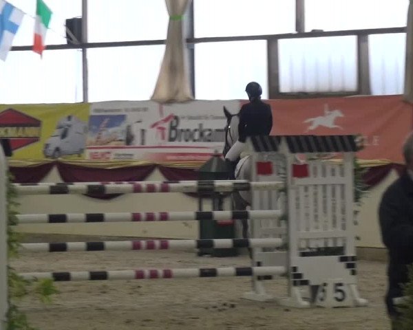 CSI Damme 2015