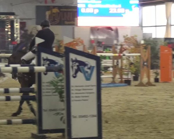 CSI Damme 2015