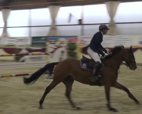 CSI Damme 2015
