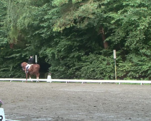 Reitturnier Bad Segeberg 2015