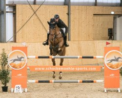 jumper Eldoranda 2 (Oldenburg show jumper, 2012, from Eldorado vd Zeshoek Tn)