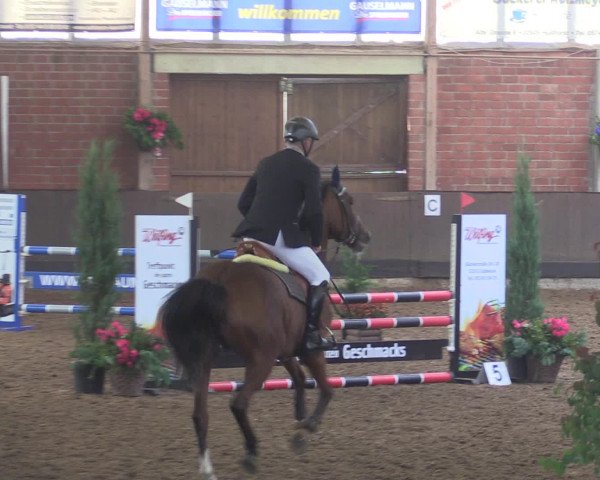 Reitturnier Hüllhorst 2015