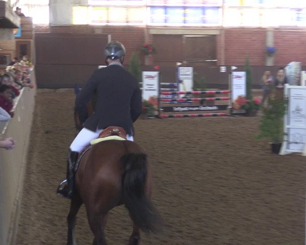 Reitturnier Hüllhorst 2015