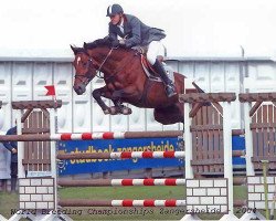 jumper Prímás (Hungarian Warmblood, 1997, from Koppány)