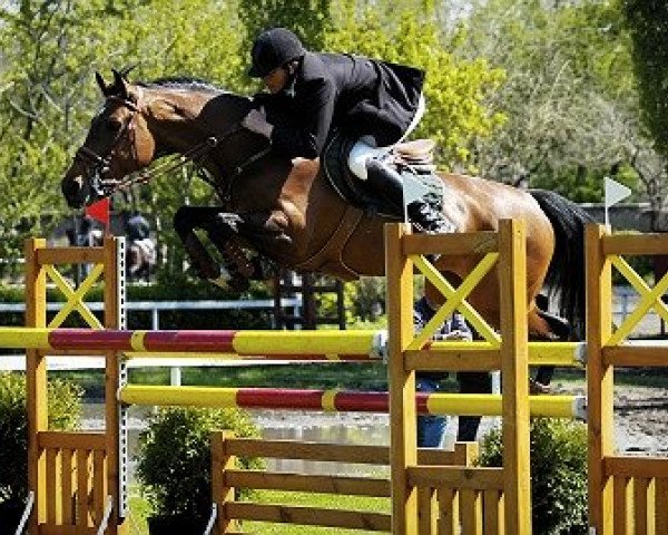 jumper Partitúra (Hungarian Warmblood, 1997, from Koppány)