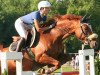 jumper Radihaza Dove (Hungarian Warmblood, 2007, from Der Kleine Lord)