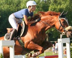 Springpferd Radihaza Dove (Ungarisches Warmblut, 2007, von Der Kleine Lord)