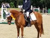 dressage horse Sunshine 432 (unknown, 2002)