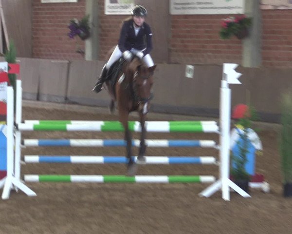 Reitturnier Hüllhorst 2015
