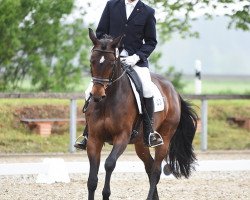 broodmare Herbsttänzerin (Trakehner, 2009, from Tanzpartner)